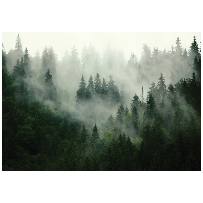 Nebel Wald Tapete für Schlafzimmer Wohnzimmer Tapete Vlies 400X280