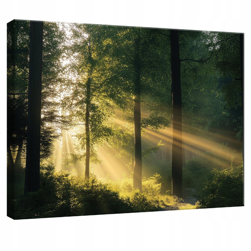 Wandbild Wald Natur Bäume Schlafzimmer Wohnzimmer Küche 100x70 PP15429