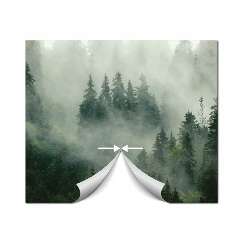 Fototapete Regenwald Bäume im Nebel für Wohnzimmer Schlafzimmer Fototapete 350X250