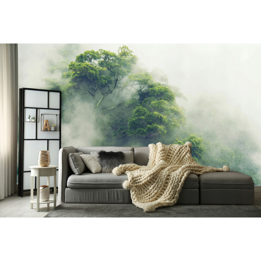 Fototapete Regenwald Bäume im Nebel für Wohnzimmer Schlafzimmer Fototapete 350X250