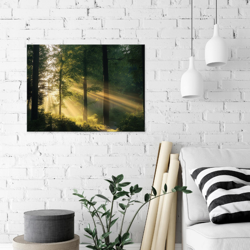 Wandbild Wald Natur Bäume Schlafzimmer Wohnzimmer Küche 100x70 PP15429