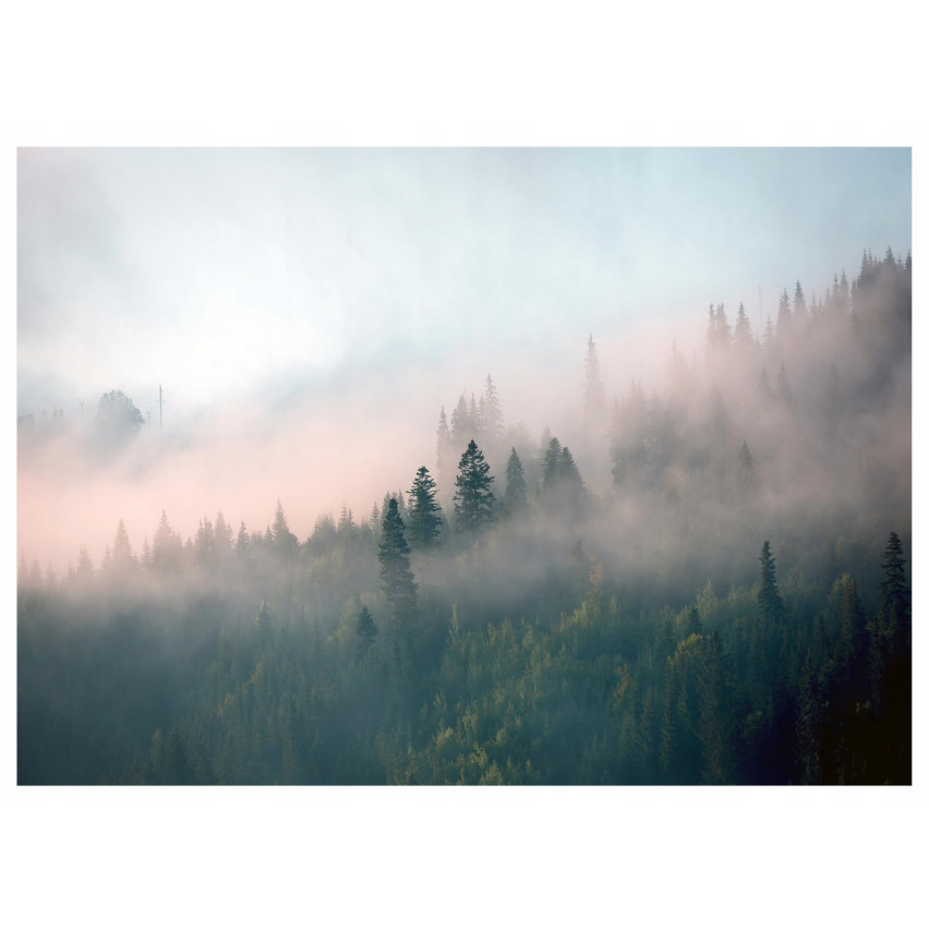 Nebel Wald Fototapete für Schlafzimmer Wohnzimmer Natur Tapete 250X175