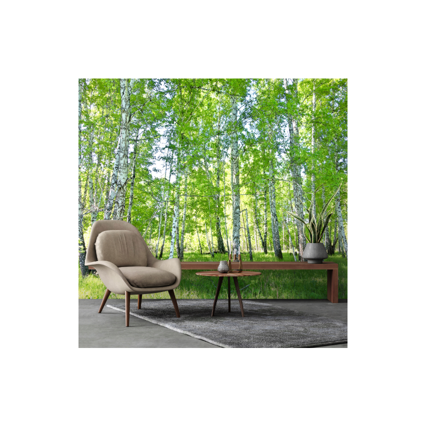 Birke Wald Bäume Fototapete Wohnzimmer Schlafzimmer Tapete 250X175