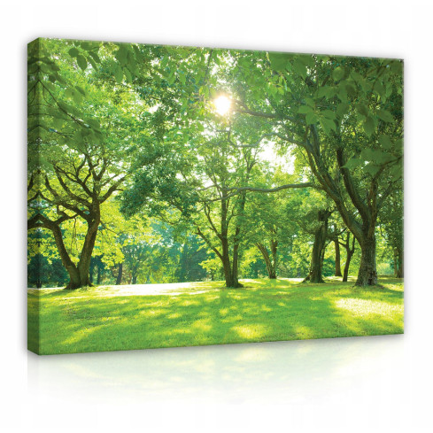 Leinwandbild TREES Meadow Nature Large 60x40