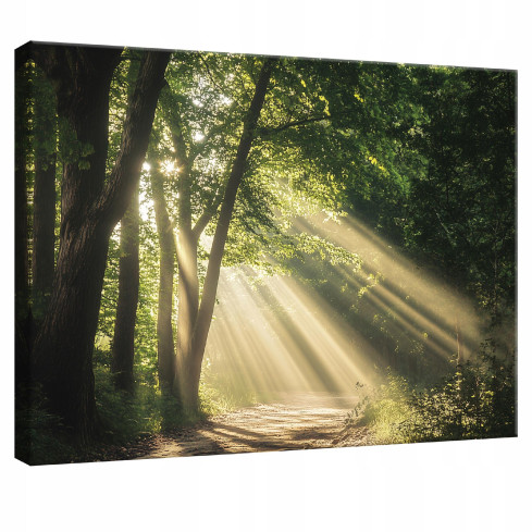 Wandtafelgemälde Wald Natur Bäume Schlafzimmer Wohnzimmer Küche 120x80