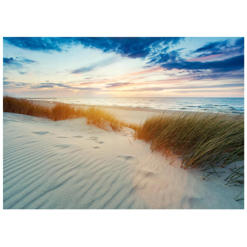 Wallpaper Strand Meeresdünen für Schlafzimmer Wohnzimmer Wallpaper 300X210