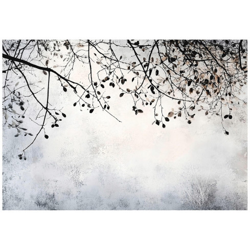 Fototapete Zweige Beton Baum Schlafzimmer Wohnzimmer Tapete Vlies 300X210