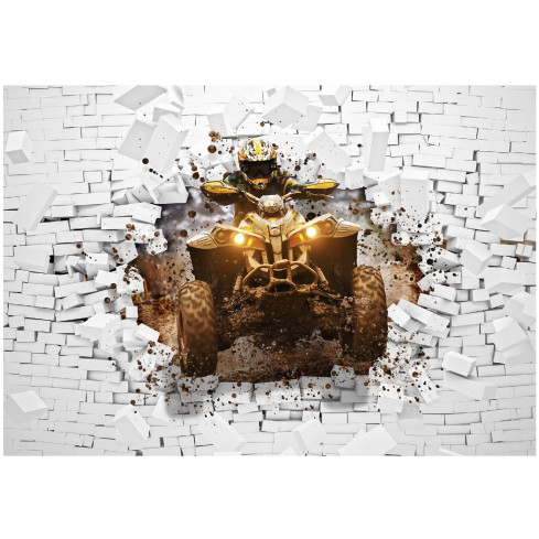 3D Quad Wandbild für Junge Gamer Tapete für Kinderzimmer 250X175