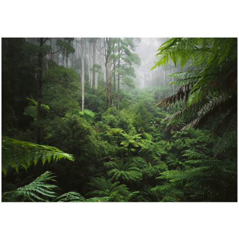 Fototapete Regenwald Dschungel Blätter für Wohnzimmer Schlafzimmer Tapete 400X280