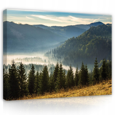Bild Leinwand Berge Landschaft Natur Wald 100x70